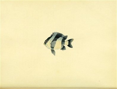 n79_w1150