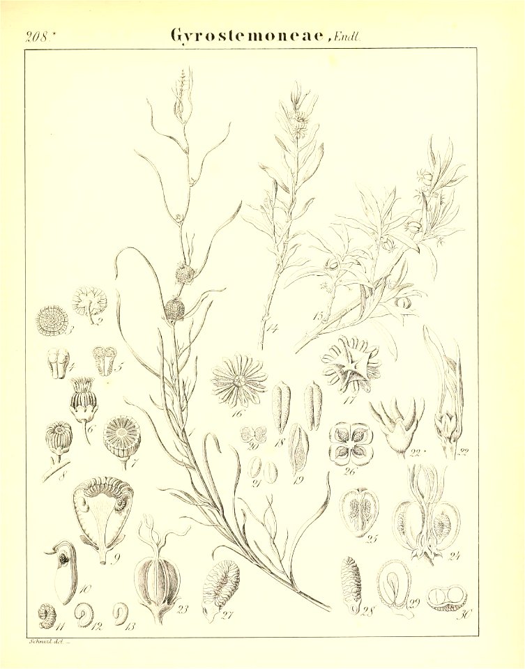 n614_w1150