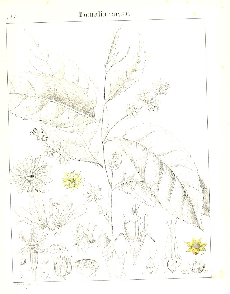 n582_w1150