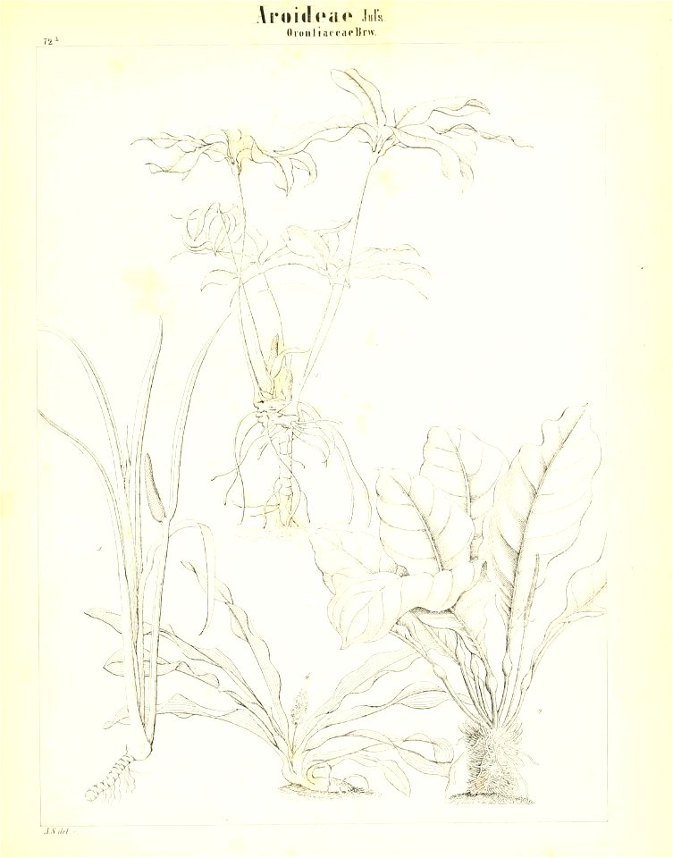 n178_w1150