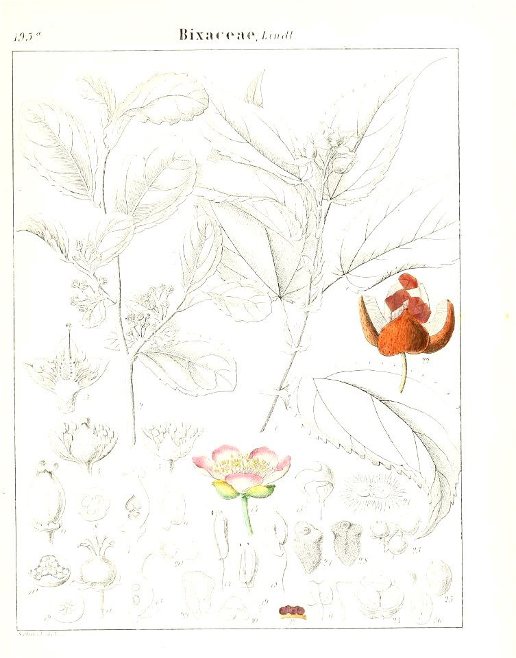 n578_w1150