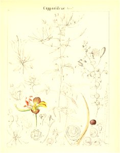 n548_w1150