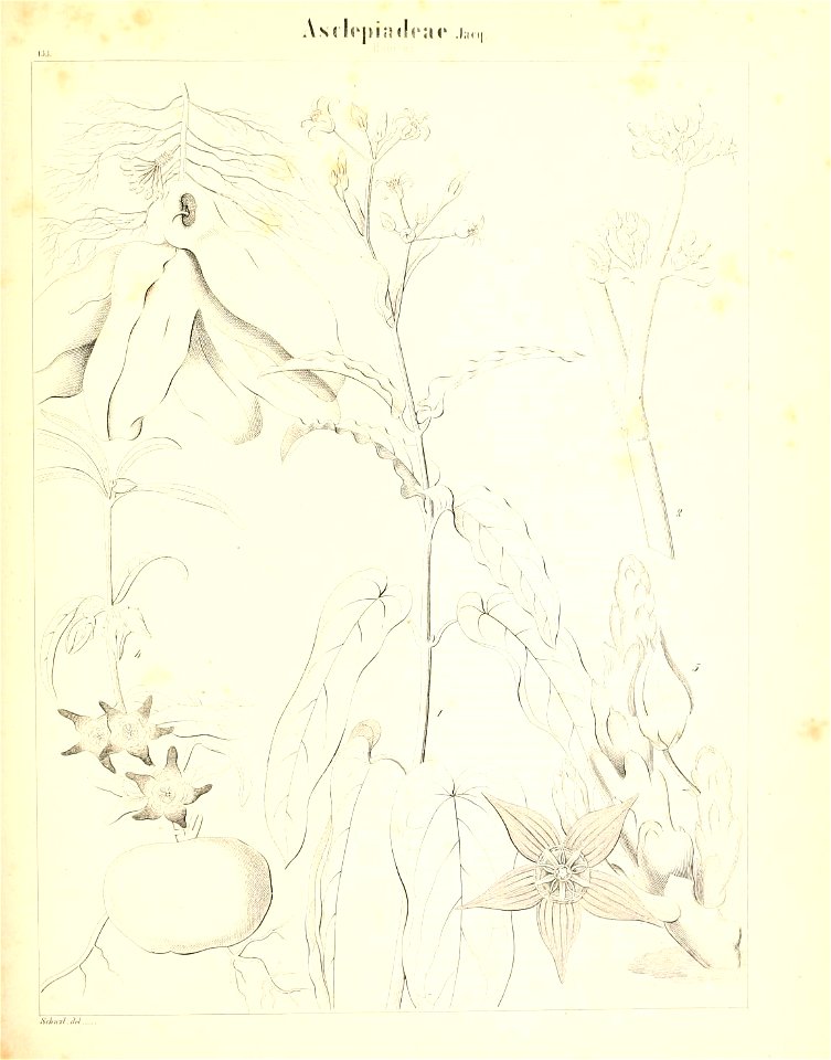 n362_w1150