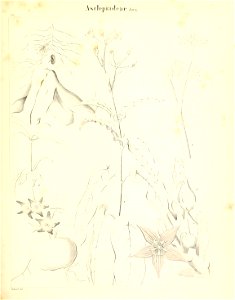 n362_w1150