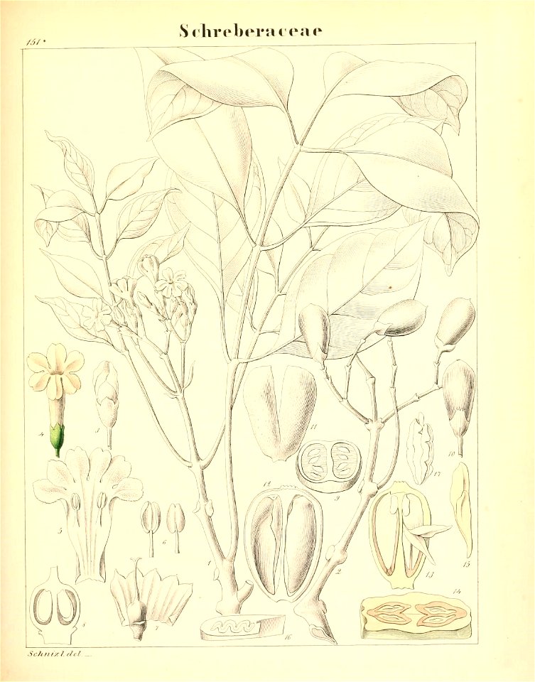 n422_w1150