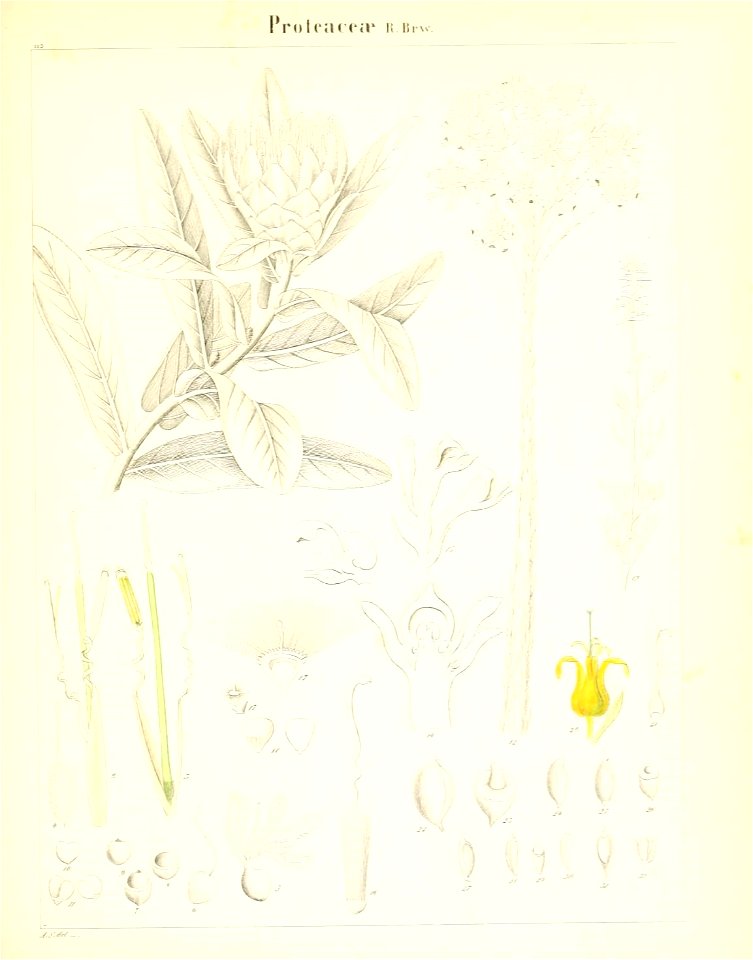 n302_w1150