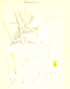 n302_w1150