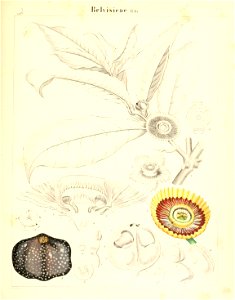 n452_w1150