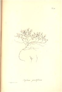n133_w1150