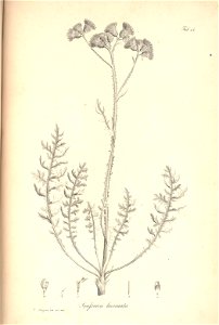 n101_w1150