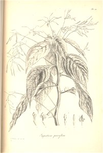 n126_w1150