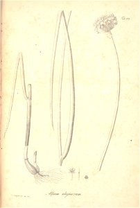 n120_w1150