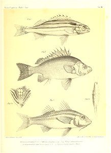 n892_w1150