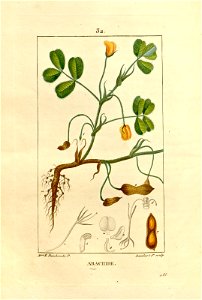 n121_w1150