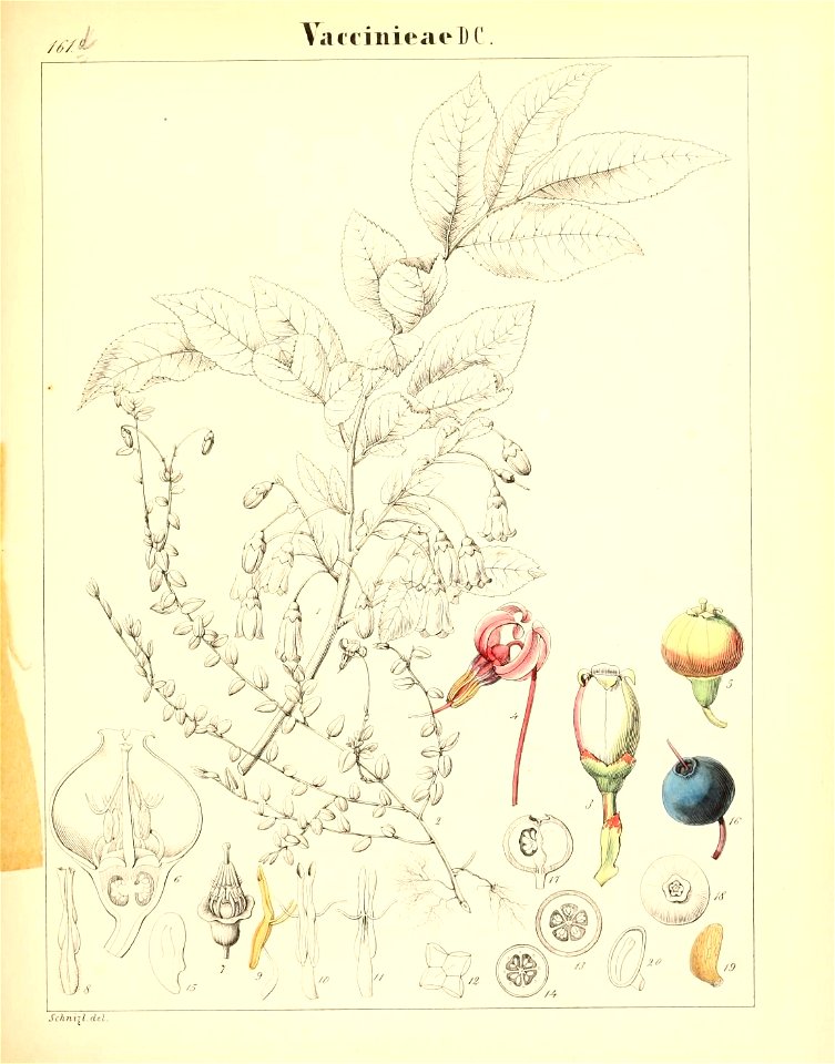 n464_w1150
