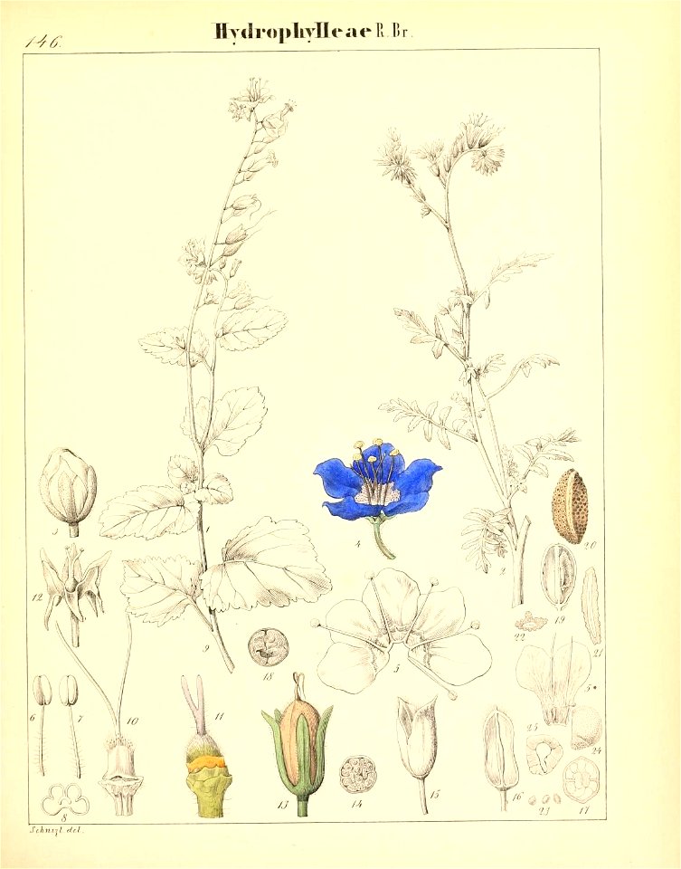 n402_w1150