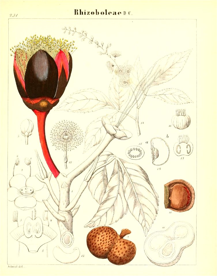 n682_w1150