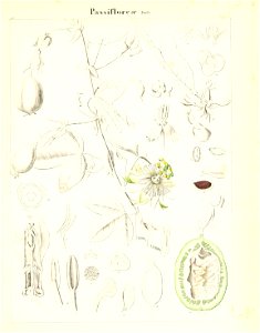 n584_w1150