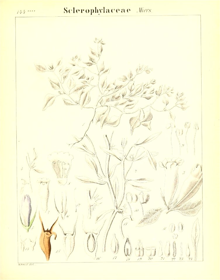n398_w1150