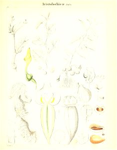 n306_w1150