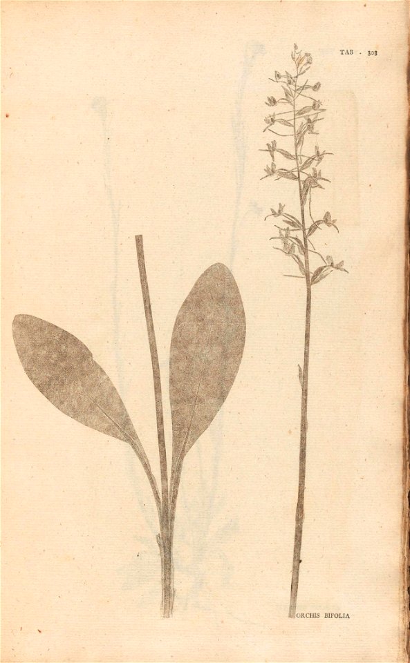 n226_w1150