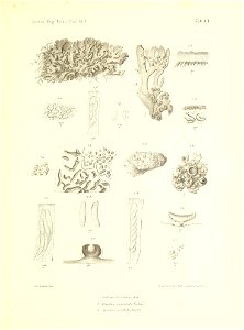 n166_w1150