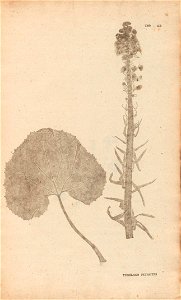 n406_w1150