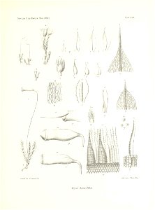 n268_w1150