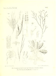 n138_w1150