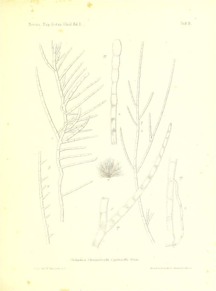 n120_w1150
