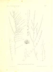 n120_w1150