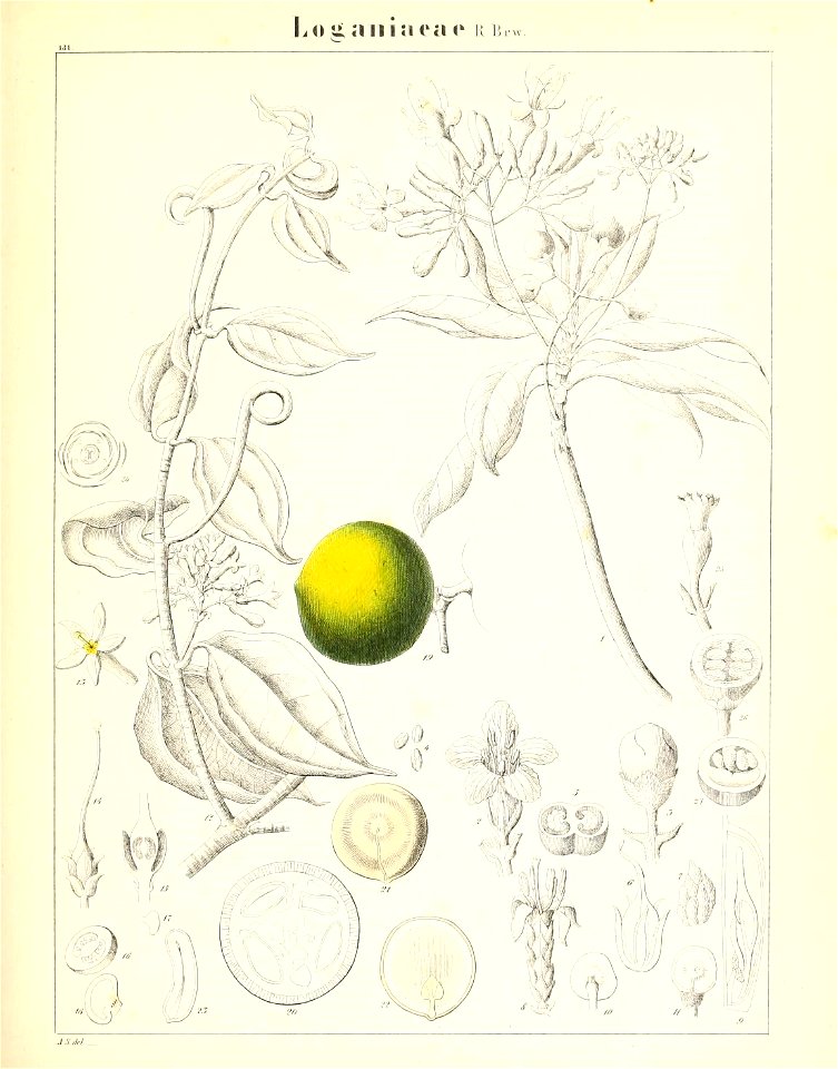 n358_w1150