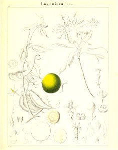 n358_w1150