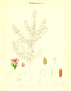 n298_w1150