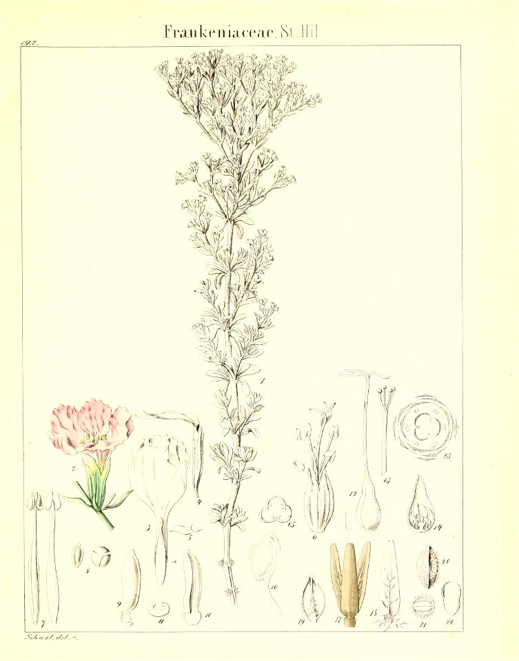 n572_w1150