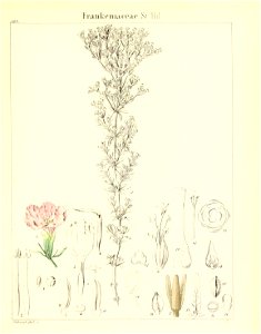 n572_w1150