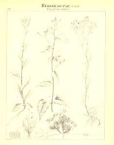 n542_w1150