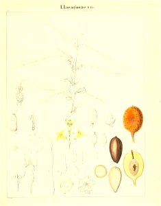 n296_w1150