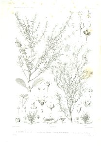 n52_w1150