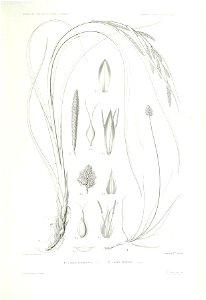 n37_w1150