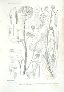 n49_w1150