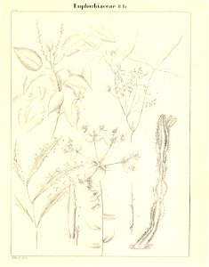 n718_w1150