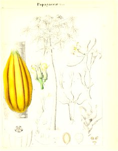 n590_w1150