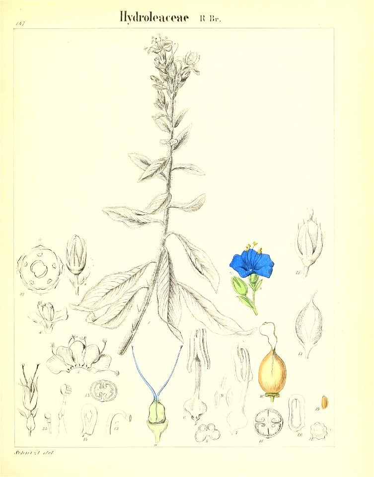 n404_w1150