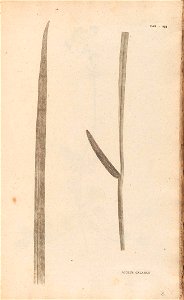 n196_w1150