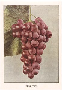 n174_w1150