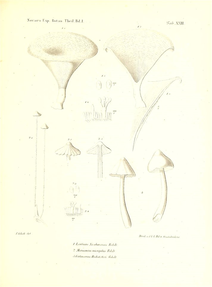 n254_w1150