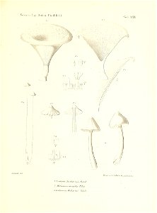 n254_w1150