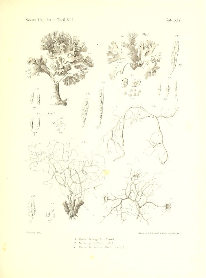 n170_w1150