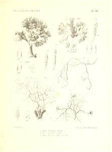 n170_w1150